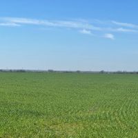 Farm For Sale 160 Acres Grandfield Oklahoma Tillman County images 2