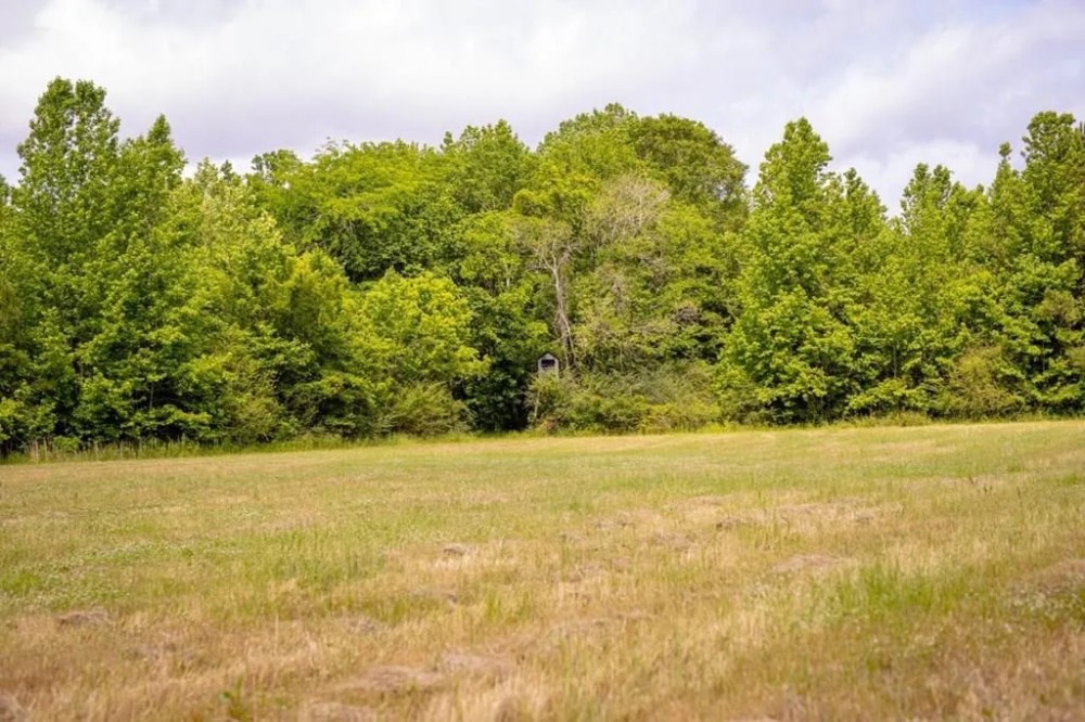 185 - Acres for Sale Claiborne County MS featured image