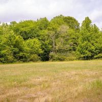 185 - Acres for Sale Claiborne County MS images 1
