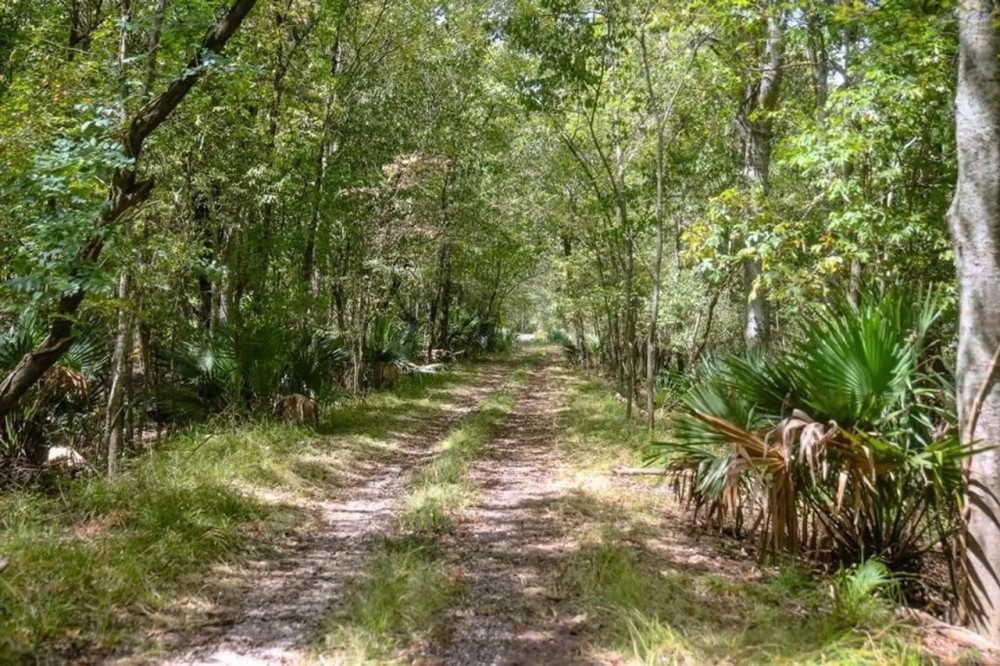 1600 Acres Land for Sale Outside of Baton Rouge LA featured image