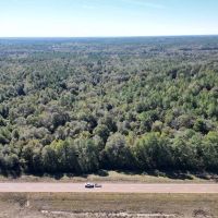 Great Timberland Hunting Tract in Southwest Mississippi images 4