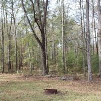 Old Lock One Road Coffeeville Alabama images 4