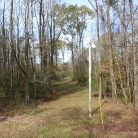Old Lock One Road Coffeeville Alabama images 5