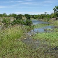 Triangle Ranch images 4