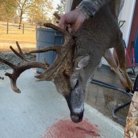 Martha s Ridge Tract 2 - 100 Acres Land for Sale East AR images 5