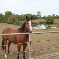 SW Miss House With 88 Acres and 6 Ponds images 4