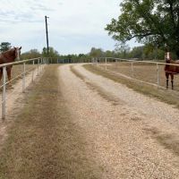 SW Miss House With 88 Acres and 6 Ponds images 5