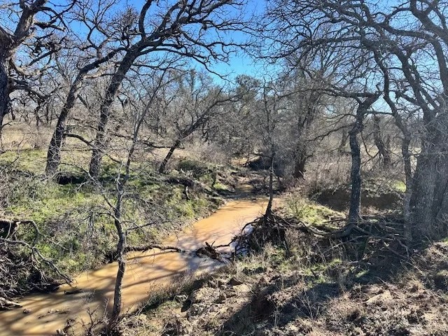 853 - Acres….Creek Elevation Hunting Heavy Cover Food Plots Much more featured image