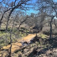 853 - Acres….Creek Elevation Hunting Heavy Cover Food Plots Much more