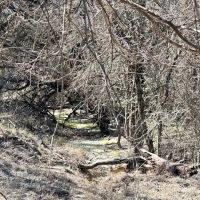 853 - Acres….Creek Elevation Hunting Heavy Cover Food Plots Much more images 2