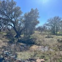 853 - Acres….Creek Elevation Hunting Heavy Cover Food Plots Much more images 4
