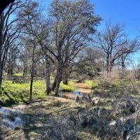 853 - Acres….Creek Elevation Hunting Heavy Cover Food Plots Much more images 5