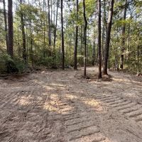 34.12 Acres Timberland Hunting Land for Sale Southeast LA images 4