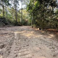 34.12 Acres Timberland Hunting Land for Sale Southeast LA images 5