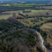 LAMAR COUNTY- DIAS WORKING CATTLE HORSE HAY RANCH—126.02 BREATHTAKING ACRES ... images 4