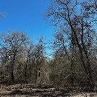 New Listing 22 - Acres Cabin Eastland County images 3