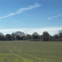 New Listing 22 - Acres Cabin Eastland County images 4