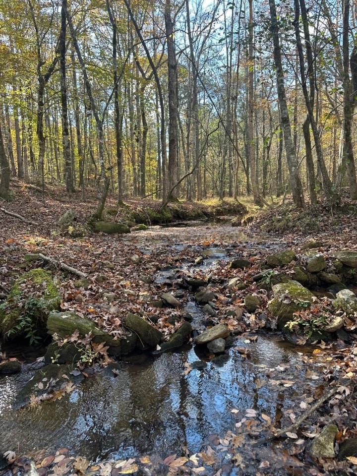 20 - Lee Co. Pasture amp Creek featured image
