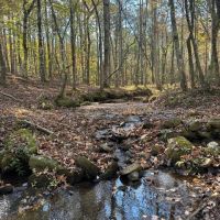 20 - Lee Co. Pasture amp Creek