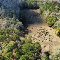 20 - Lee Co. Pasture amp Creek images 2
