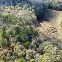 20 - Lee Co. Pasture amp Creek images 3