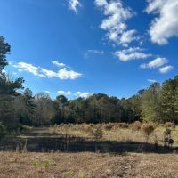 20 - Lee Co. Pasture amp Creek images 4