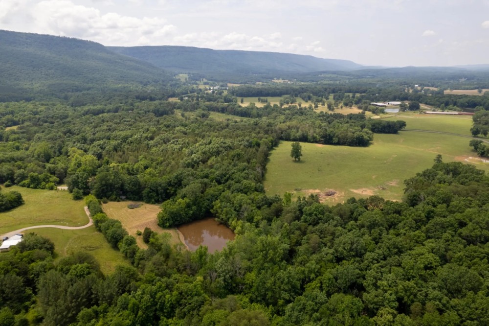 44 Acres - in Dade County GA featured image