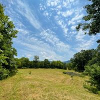 44 Acres - in Dade County GA images 2