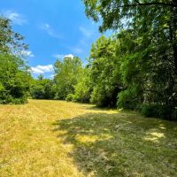 44 Acres - in Dade County GA images 3