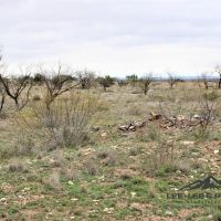 TW1 Ranch images 5