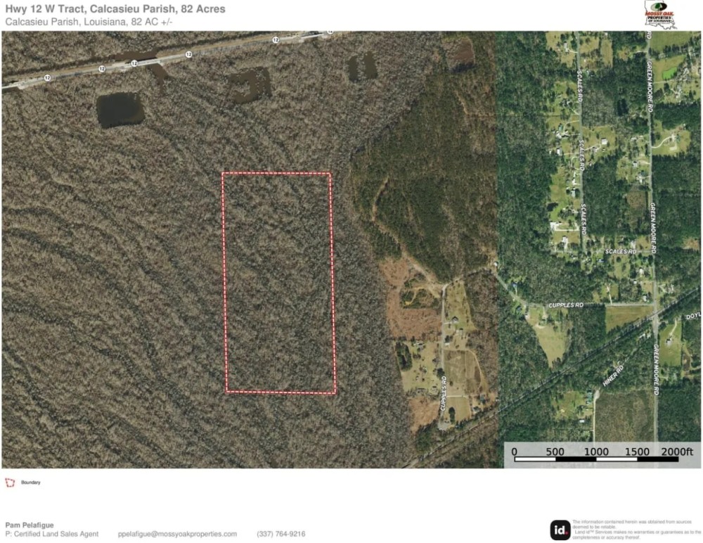 Hwy 12 W Tract Calcasieu Parish 82 Acres featured image