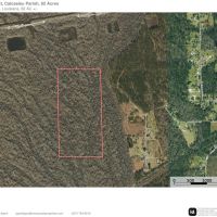 Hwy 12 W Tract Calcasieu Parish 82 Acres