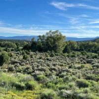 Hunting Ranch with Wooded Acreage in Northern New Mexico images 5