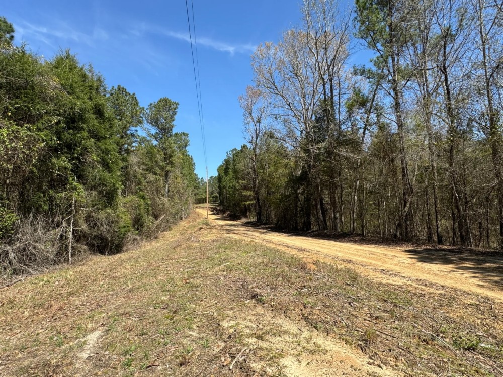 62.5 Acres in Kemper County MS featured image