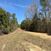 62.5 Acres in Kemper County MS