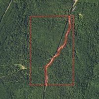62.5 Acres in Kemper County MS images 5