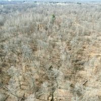 All wooded tract in Jackson Co. Illinois images 2