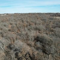 New Listing 11 - Acres Jones County images 5