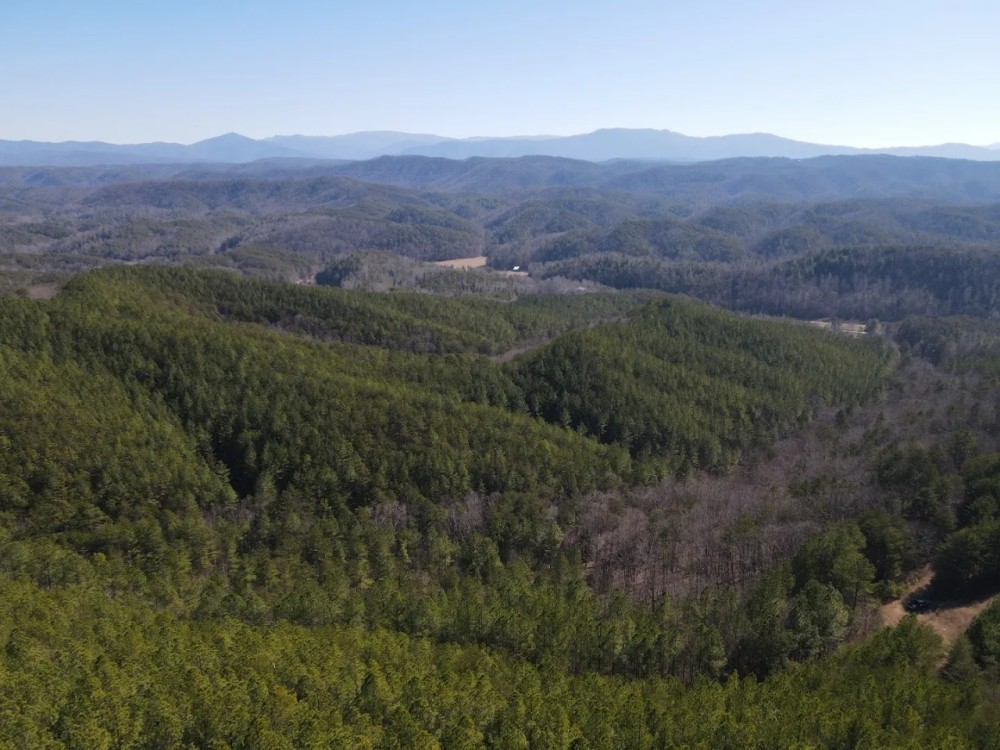 Tellico Plains featured image