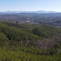 Tellico Plains