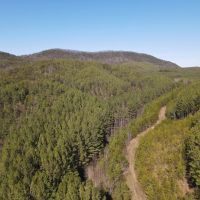 Tellico Plains images 5