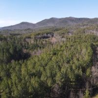 Tellico Plains images 4