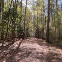 Turnkey 26.5 Acres for Sale in Clinton LA images 3