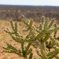 Griffin Creek Ranch images 2