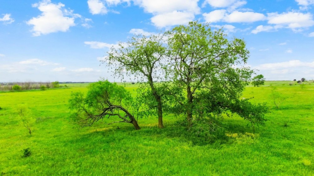 TBD CR 218 Unit 11 Hico Texas 76457 featured image