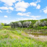 TBD CR 218 Unit 13 Hico Texas 76457 images 3
