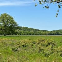 990 - Acres Horton Cattle Ranch Holdenville OK images 4