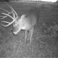 Owl Creek Bottom Crop Hunting and Build Site images 2