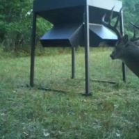 Owl Creek Bottom Crop Hunting and Build Site images 3