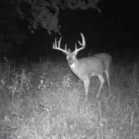 Owl Creek Bottom Crop Hunting and Build Site images 5